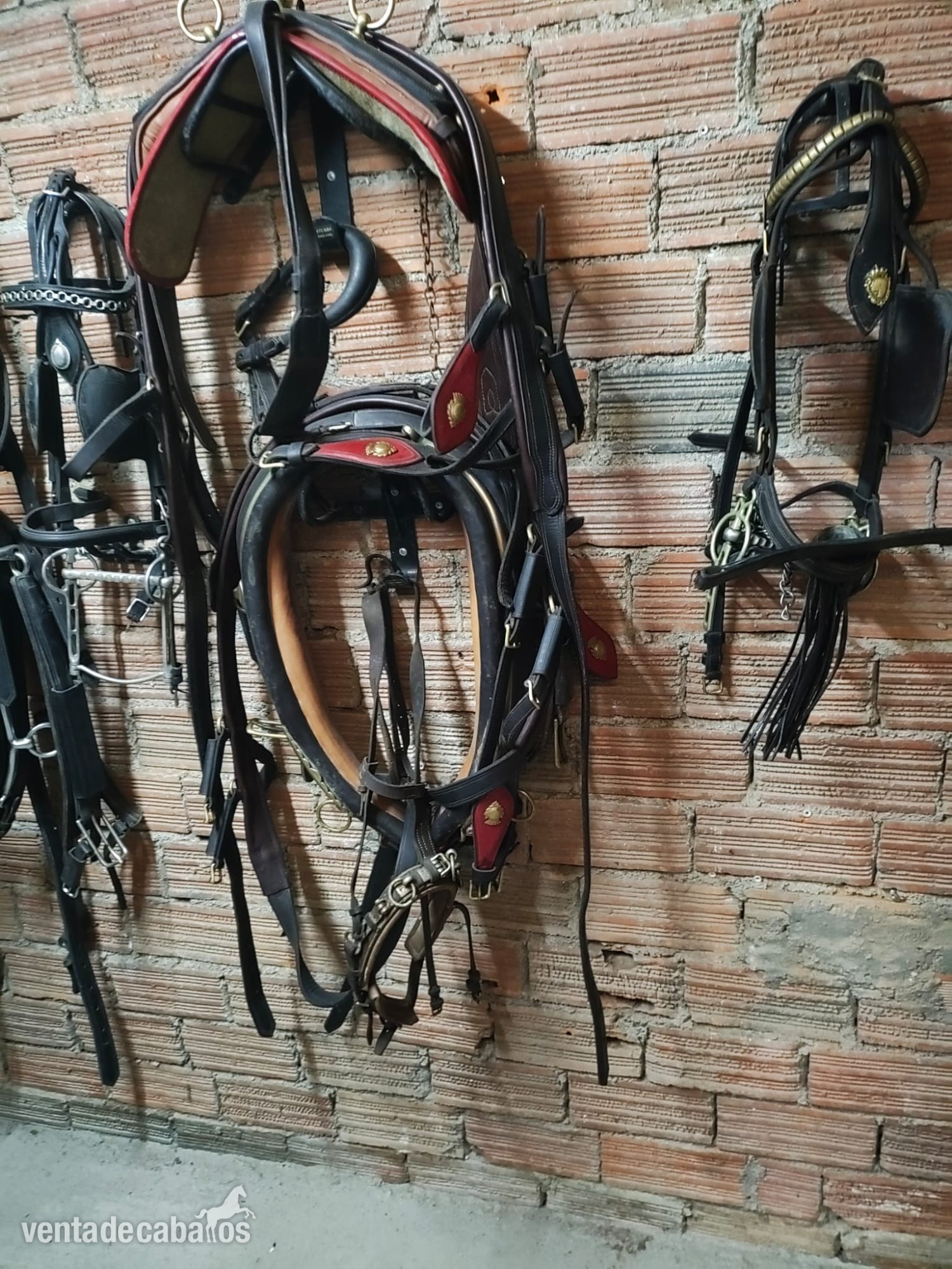English Collar Harness by Huskissons of Walsall 
