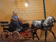  SE VENDEN DOS  COCHES DE CABALLOS DE EPOCA Y UNO DE ENTRENAMIENTO 