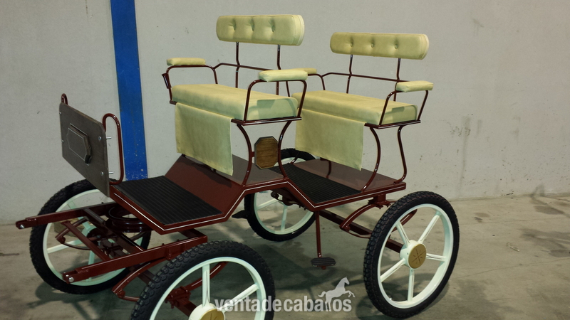 BUGGY PARA PONY in 