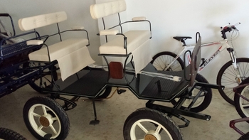 Buggy para pony