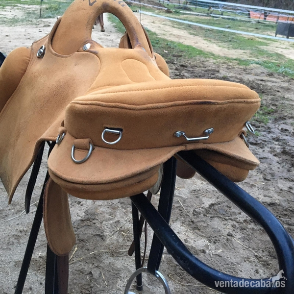 Silla montura zaldi raid endure creole - Sillas de montar