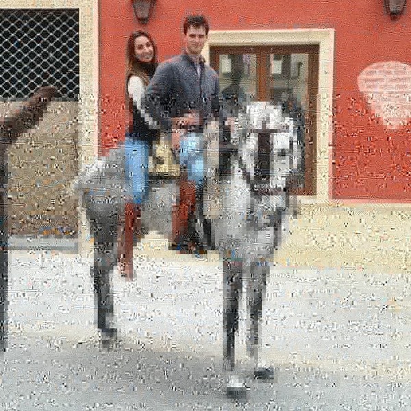 Se vende tres sangres - Caballos Árabes Anglohispanoarabe