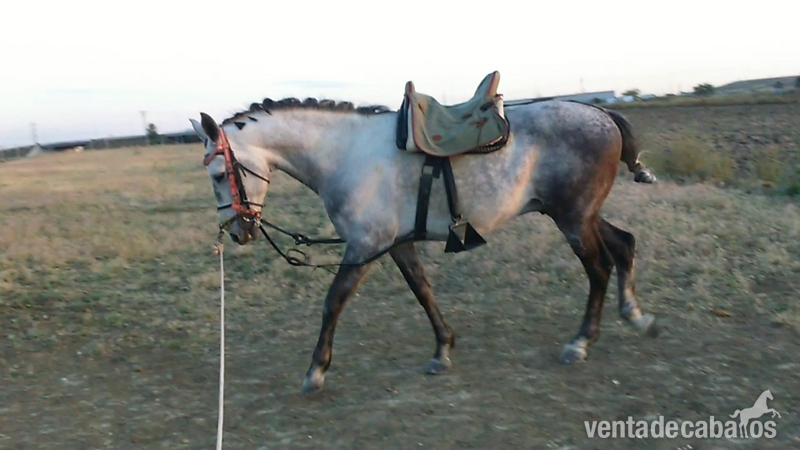 Abstang