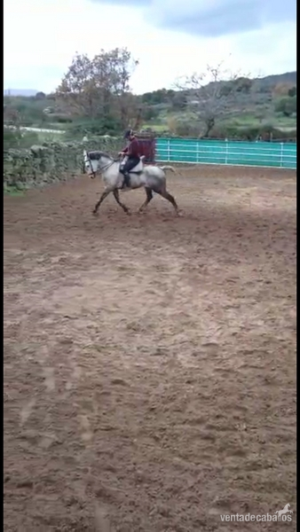 Abstang {TYPE}