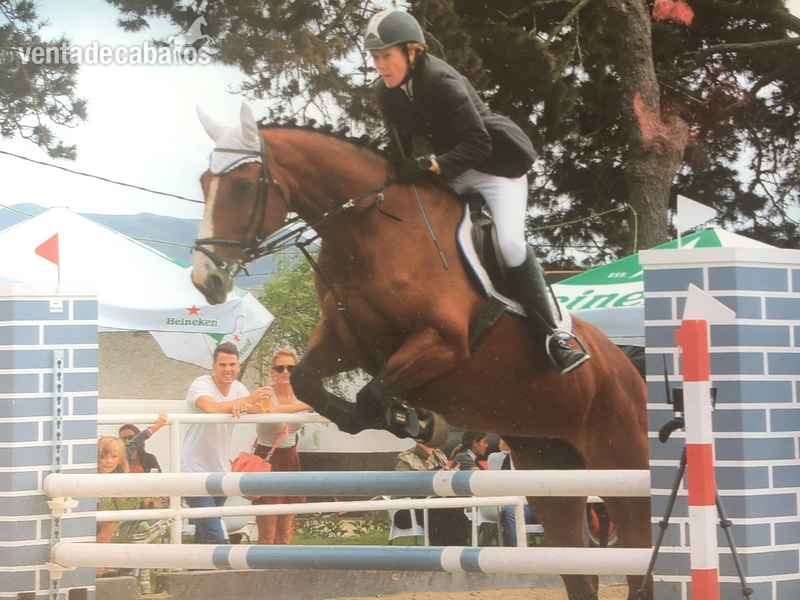 Ballistika, hija de Balou du Rouet in 