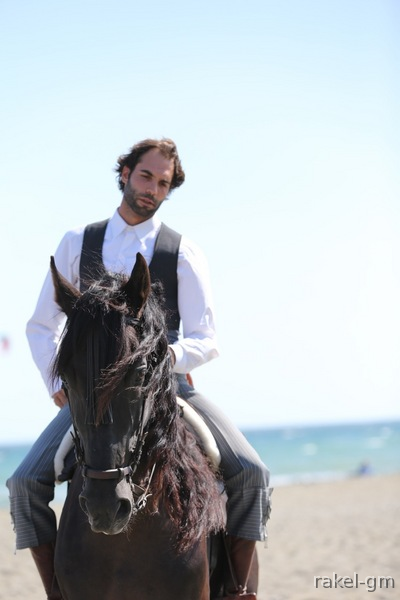 Vendo caballo pura raza española - Caballos Pura Raza Española (P.R.E.)
