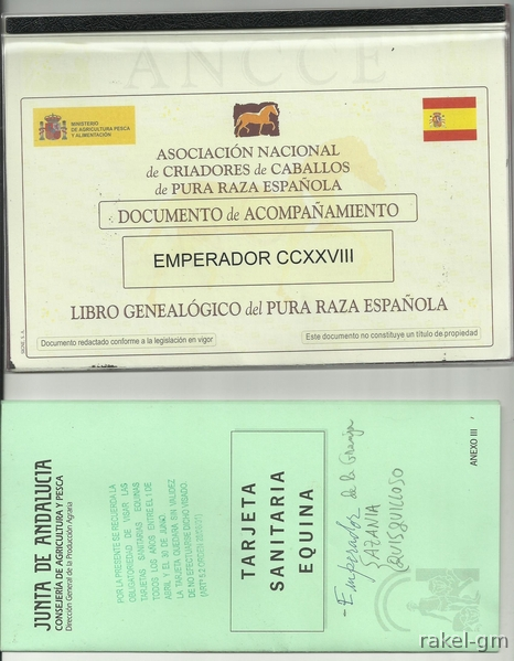 Vendo caballo pura raza española