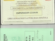 Vendo caballo pura raza española
