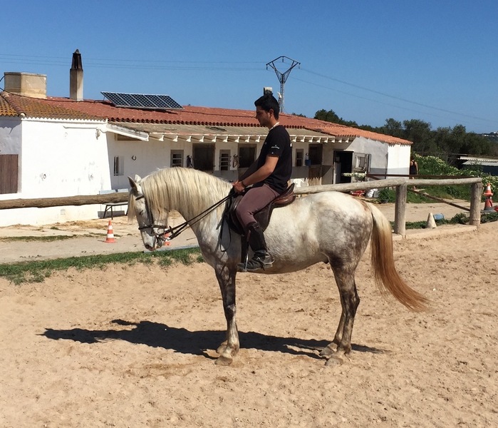 Pura Raza Española {TYPE}
