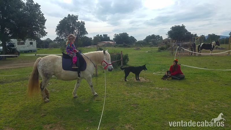 Vender un Poni in 
