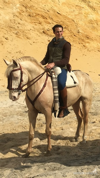 Pura Sangre Lusitano albino in 