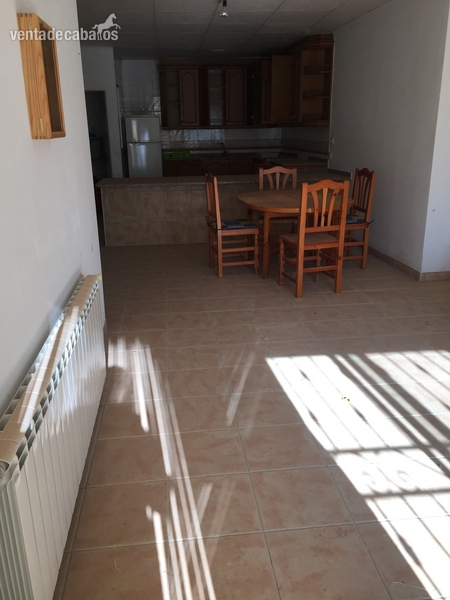 Finca ecuestre - se  vende  Finca  para  Cria de  caballos in VINAROS