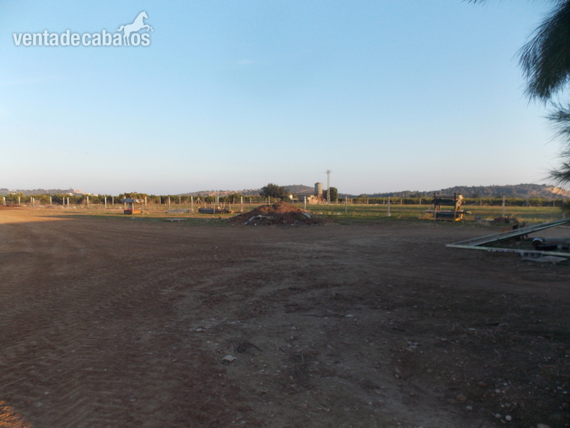 Finca ecuestre - se  vende  Finca  para  Cria de  caballos