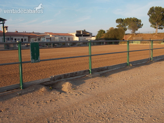 se  vende  Finca  para  Cria de  caballos in VINAROS