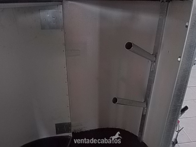 Remolque de caballos-NUEVO 