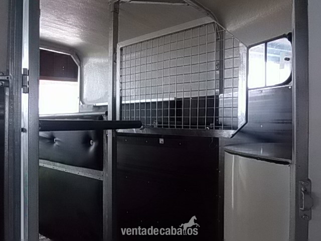 Remolques de caballos - Remolque de caballos-NUEVO in 