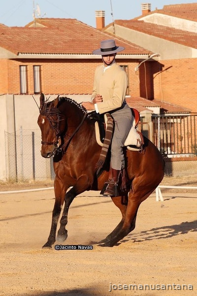 Tres sangres