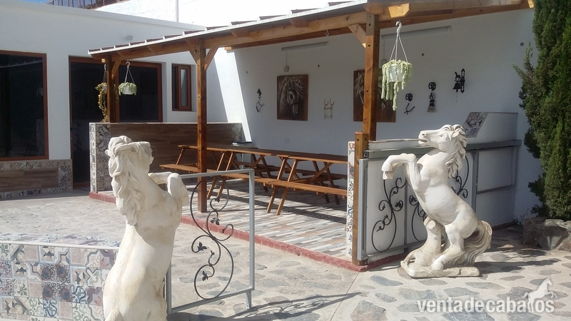 Villa con instalaciones ecuestres Maspalomas