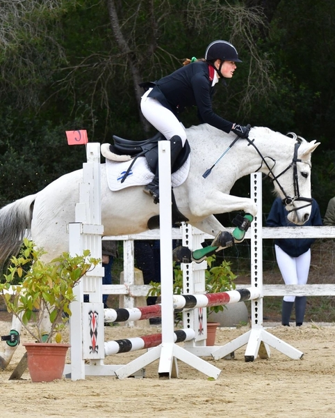 Vendo poni d de salto - Caballo Hispano Árabe in 