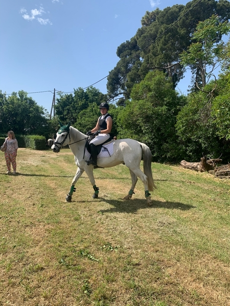 Vendo poni d de salto in 