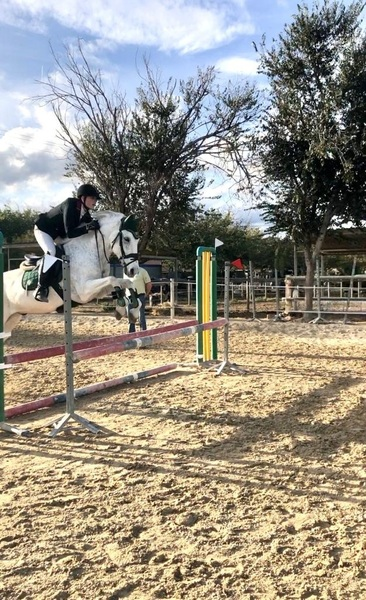 Vendo poni d de salto - Caballo Hispano Árabe Hispano-Arabe