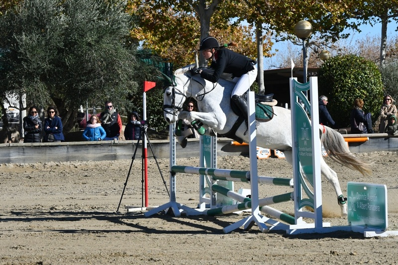 Vendo poni d de salto - Caballo Hispano Árabe