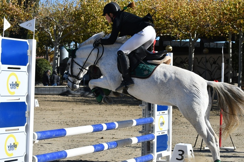 Vendo poni d de salto