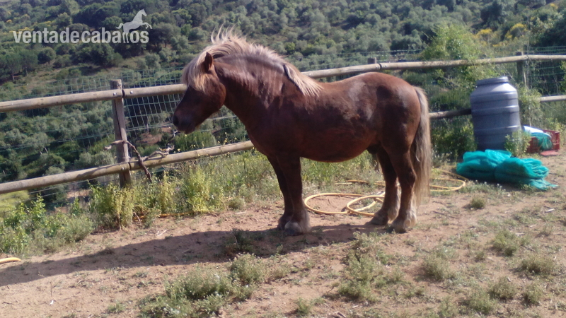 Navarrete-
