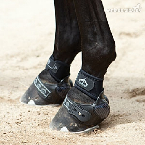 campanas VEREDUS carbon in 