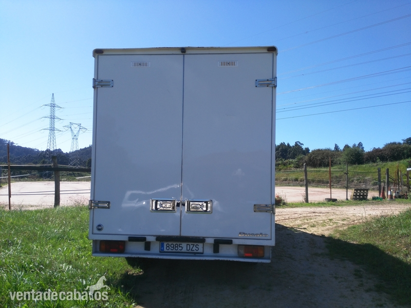 Transportes de caballos - Furgoneta para dos caballos in 