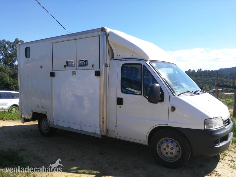Transportes de caballos - Furgoneta para dos caballos