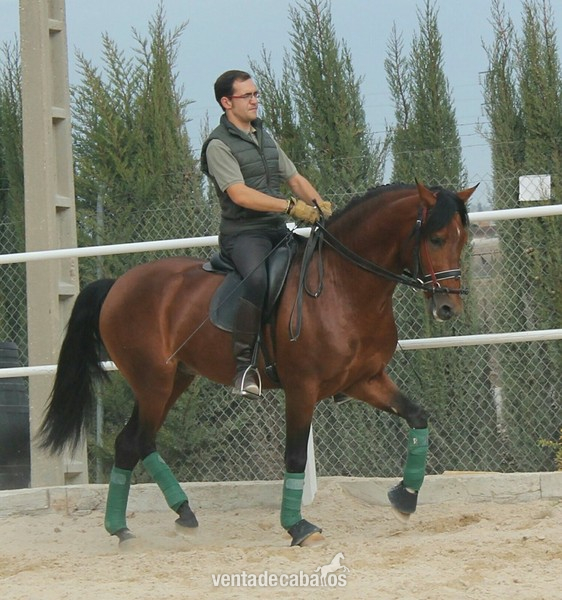 PRE - ALMIRANTE OS in 