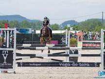 Se vende yegua de salto