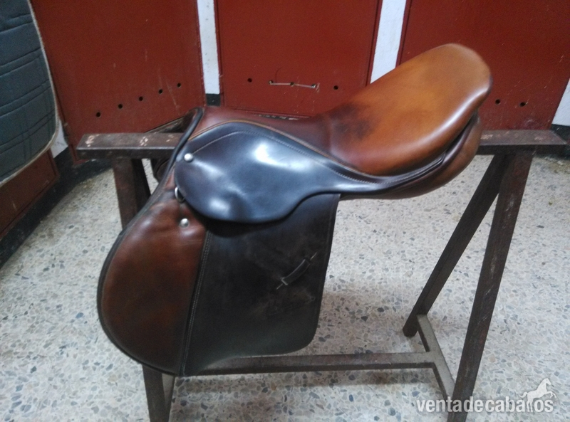 montura don rodrigo soneira 17" in 