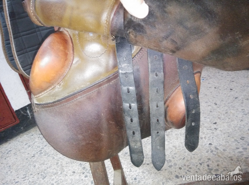 Sillas de montar - montura don rodrigo soneira 17" in 