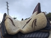 Montura baquera