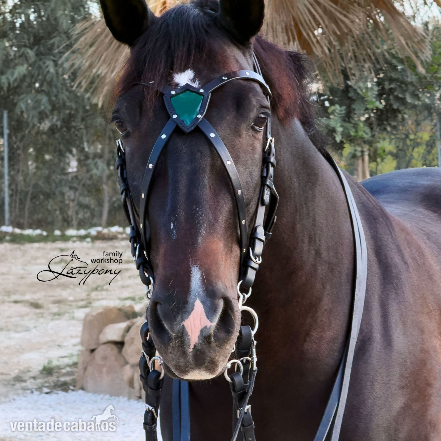 Frontalera de cuero hecha a mano Shield Lazypony en forma de X, X-browband, cross browband in 