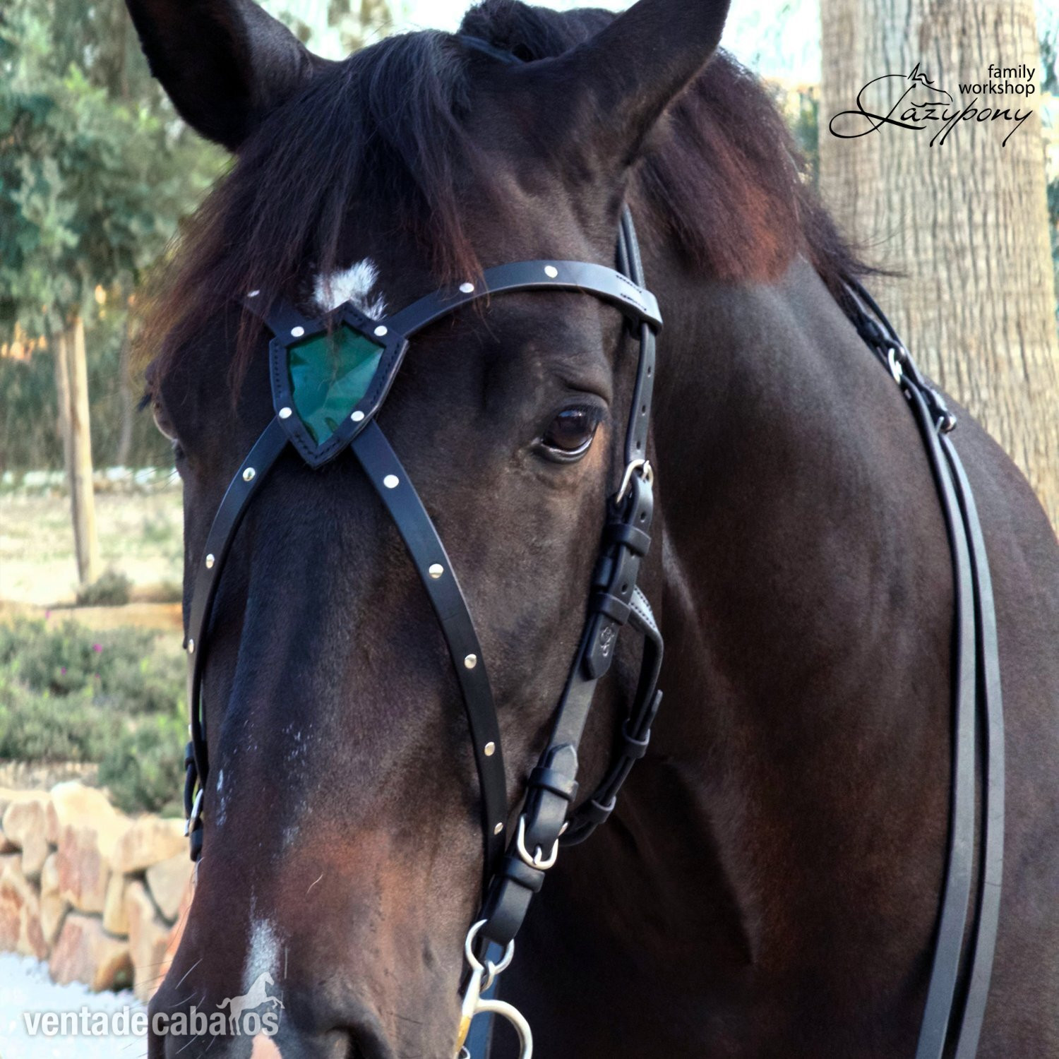 Frontalera de cuero hecha a mano Shield Lazypony en forma de X, X-browband, cross browband