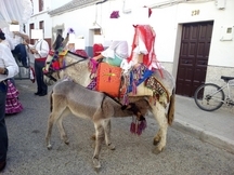 vendo o cambio burra con charret
