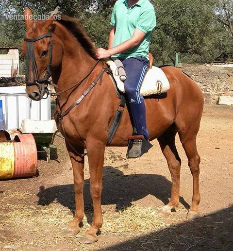 Abstang