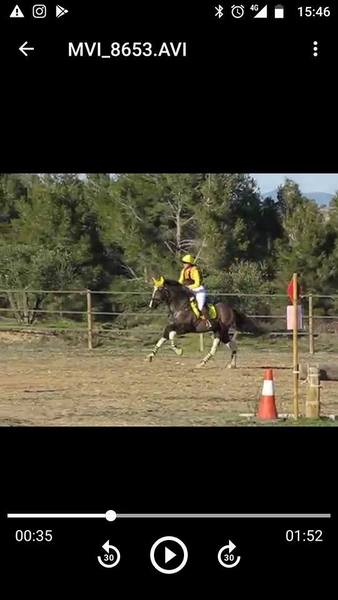 Caballos Capados CRUZADO - CABALLO PARA EL DEPORTE 8 AÑOS