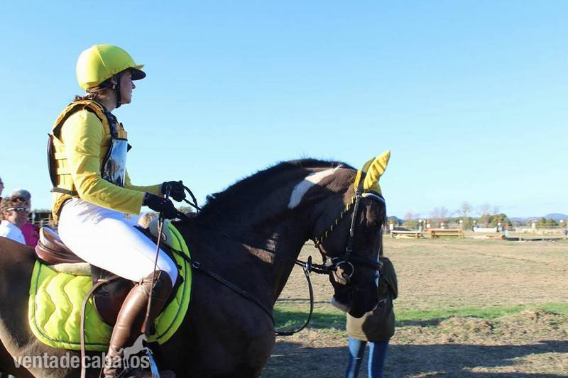  CABALLO PARA EL DEPORTE 8 AÑOS