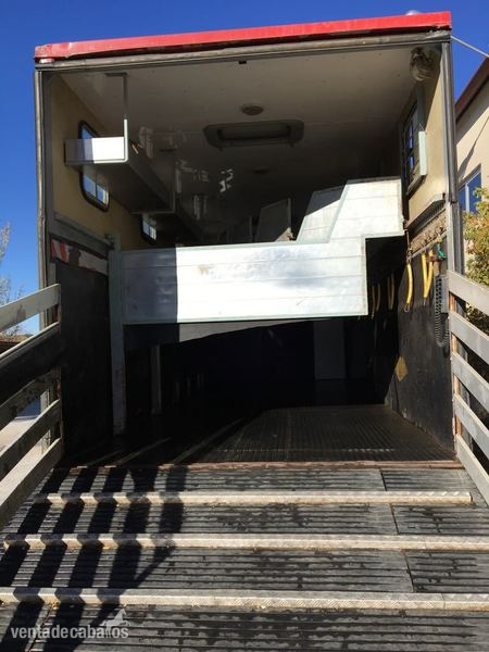 Camion volvo 8 caballos con vivienda  - Transportes de caballos in 