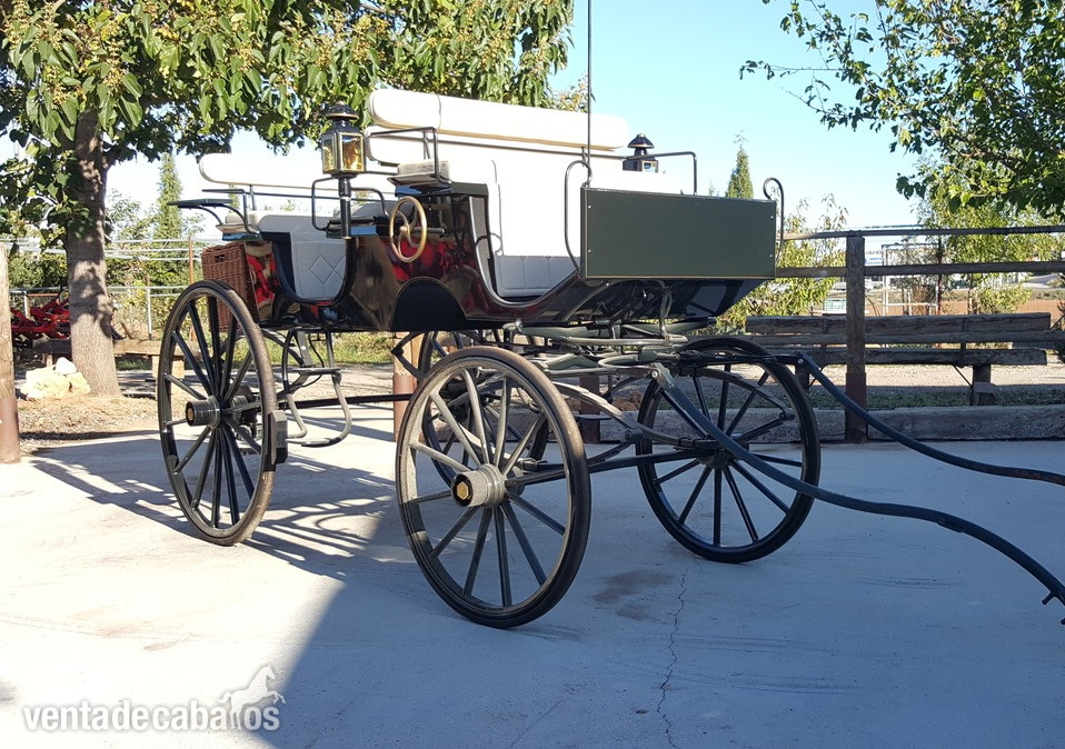 Carro de caballos faeton bis a bis  in 