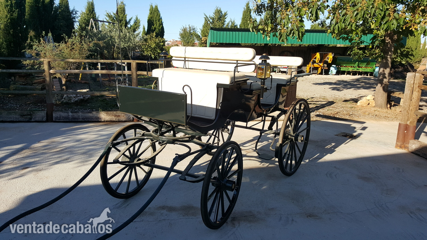  Carro de caballos faeton bis a bis 