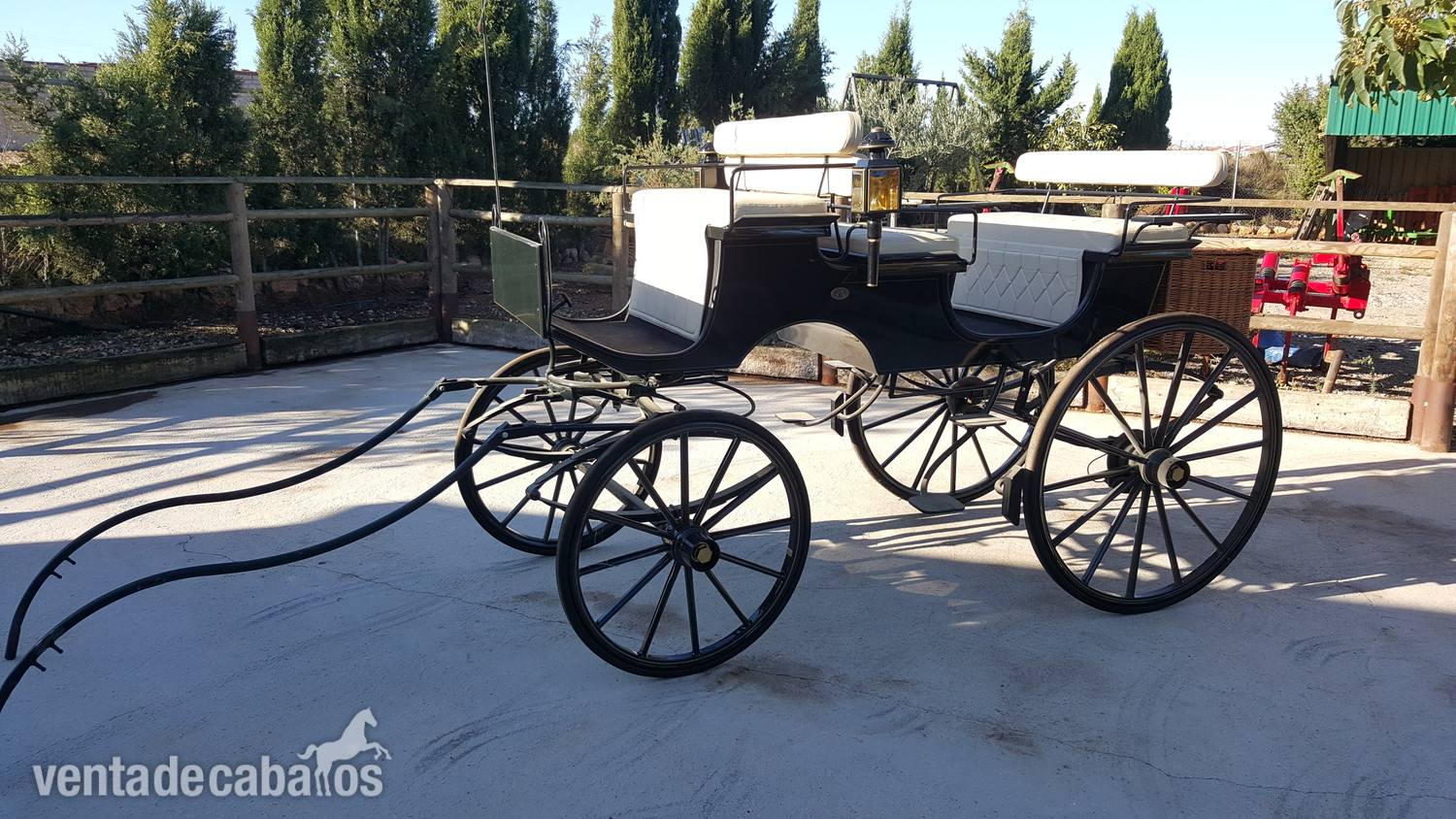 Carro de caballos faeton bis a bis  - Carruajes y Enganches in 