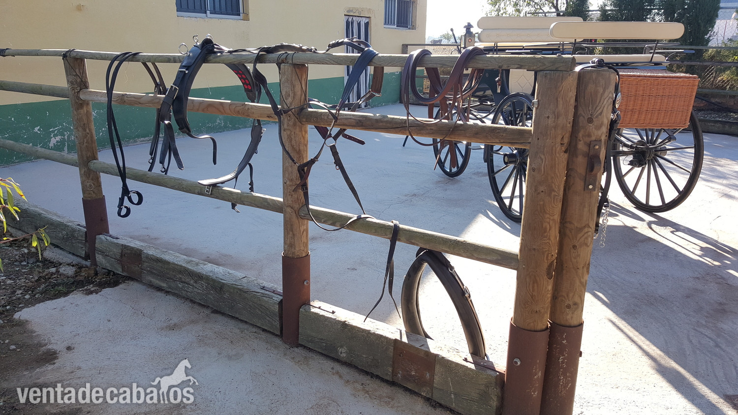 Carro de caballos faeton bis a bis  