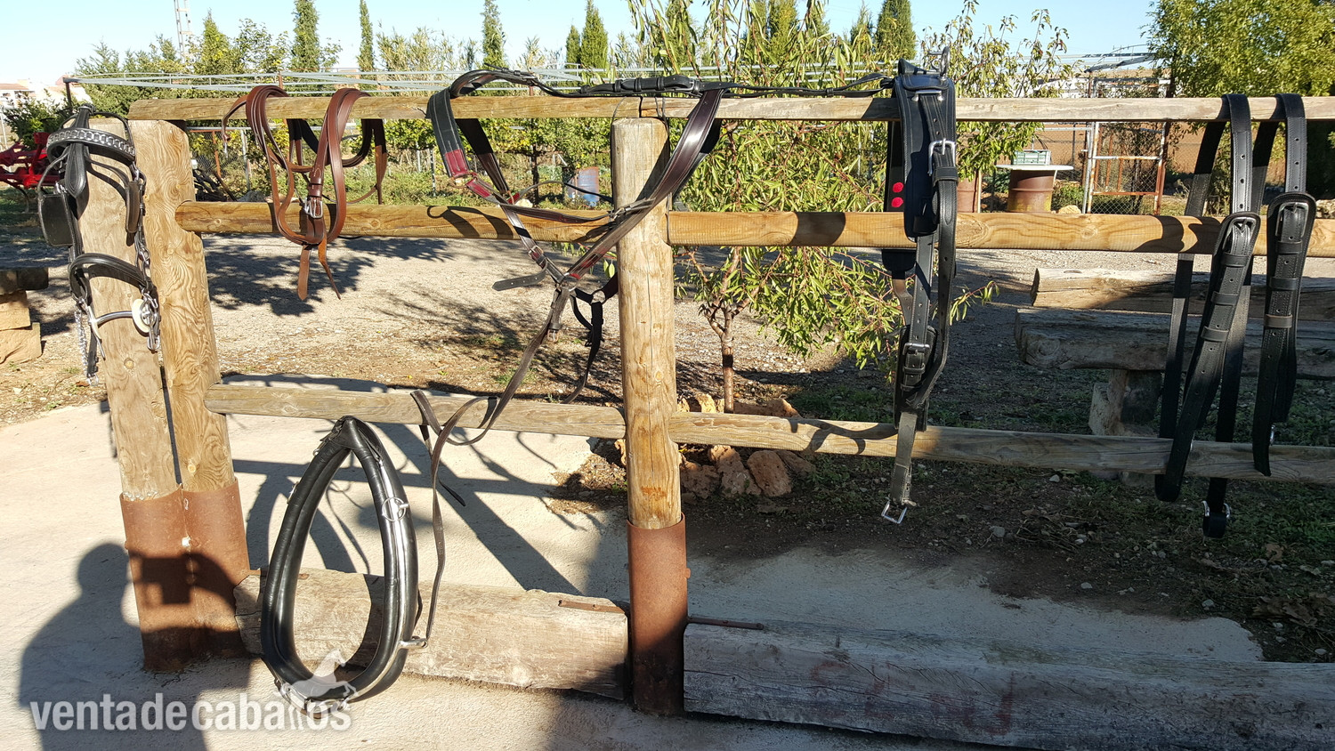 Carruajes y Enganches - Carro de caballos faeton bis a bis  in 