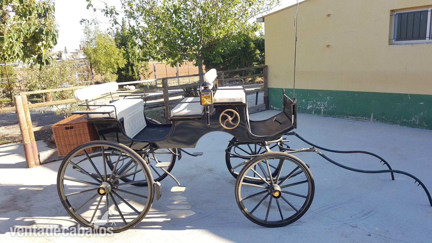 Carruajes y Enganches - Carro de caballos faeton bis a bis 