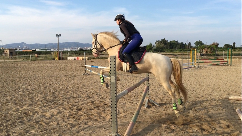Lusitano Doma Clásica 6 años - Caballos Capados Lusitano